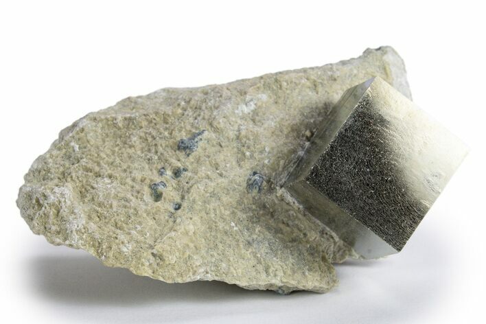 Natural Pyrite Cube In Rock - Navajun, Spain #324999